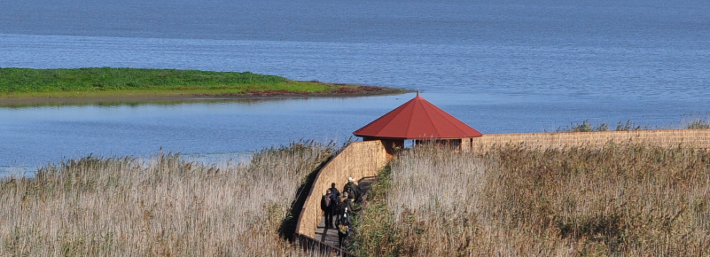 wildlife_tours_4.png